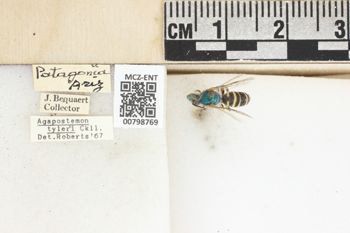 Media type: image;   Entomology 798769 Aspect: Labels